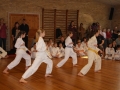 3-kampstaevne 2011 (101)