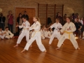 3-kampstaevne 2011 (102)