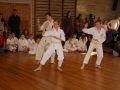 3-kampstaevne 2011 (108)