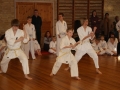 3-kampstaevne 2011 (110)