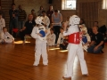 3-kampstaevne 2011 (3)