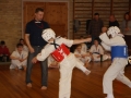 3-kampstaevne 2011 (36)