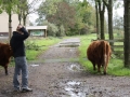 Ameland 2010 (122)