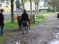 Ameland 2010 (123)