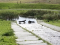 Ameland 2010 (74)