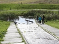 Ameland 2010 (76)
