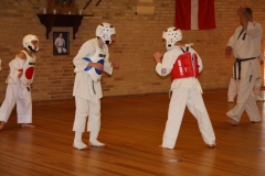 IMG_0019