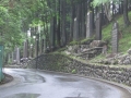 Japan 2010 (151)