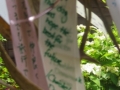 Japan 2010 (157)