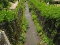 Japan 2010 (159)