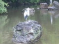 Japan 2010 (249)