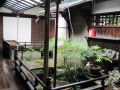 Japan 2010 (290)
