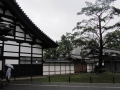Japan 2010 (311)