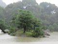 Japan 2010 (316)