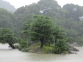 Japan 2010 (317)