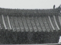 Japan 2010 (319)