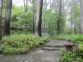 Japan 2010 (322)