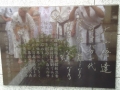 Japan 2010 (376)