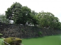 Japan 2010 (388)