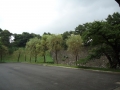 Japan 2010 (396)