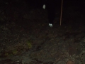 Japan 2010 (501)