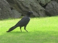 Japan 2010 (95)
