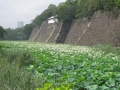 Japan 2010 (96)