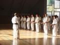 Kataseminar 2011 (1)