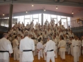Kataseminar 2011 (104)