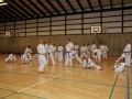 Kataseminar 2011 (131)