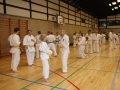 Kataseminar 2011 (146)