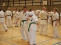 Kataseminar 2011 (147)