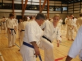 Kataseminar 2011 (149)