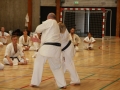 Kataseminar 2011 (154)