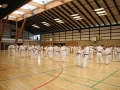 Kataseminar 2011 (155)