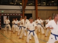 Kataseminar 2011 (159)