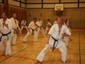 Kataseminar 2011 (162)