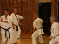 Kataseminar 2011 (167)
