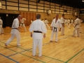 Kataseminar 2011 (171)