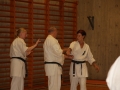 Kataseminar 2011 (182)