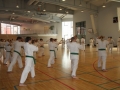 Kataseminar 2011 (39)