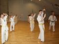 Kataseminar 2011 (87)