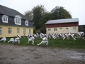 Monlejr 2010 (29)