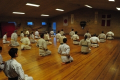 Nytårstræning 2016