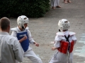 Opvisning-jaegerhytten-Birkeroed-2010 (170)