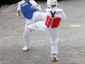 Opvisning-jaegerhytten-Birkeroed-2010 (171)