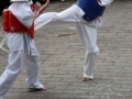 Opvisning-jaegerhytten-Birkeroed-2010 (172)