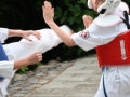 Opvisning-jaegerhytten-Birkeroed-2010 (173)