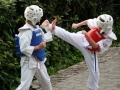 Opvisning-jaegerhytten-Birkeroed-2010 (179)