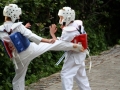 Opvisning-jaegerhytten-Birkeroed-2010 (180)
